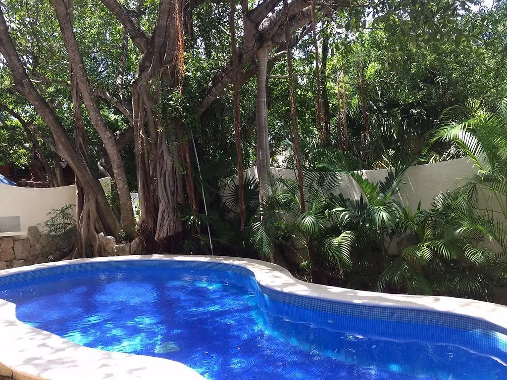 Condo Mixteca 8Bis Playa del Carmen